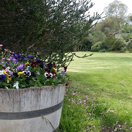 Padthaway Caravan Park Exterior foto